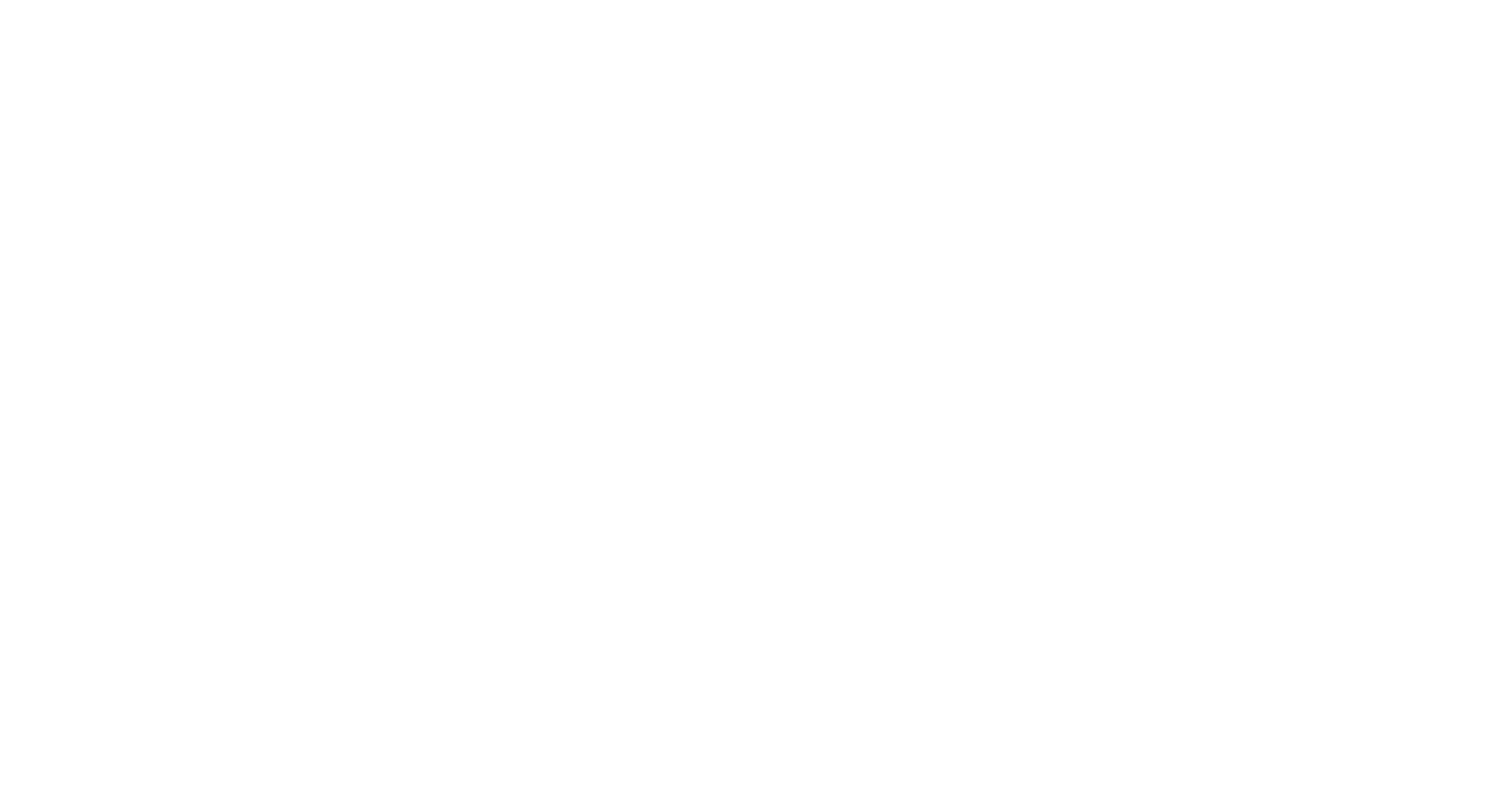 STARBIZZ (DD2 INTERNE PARTNER)