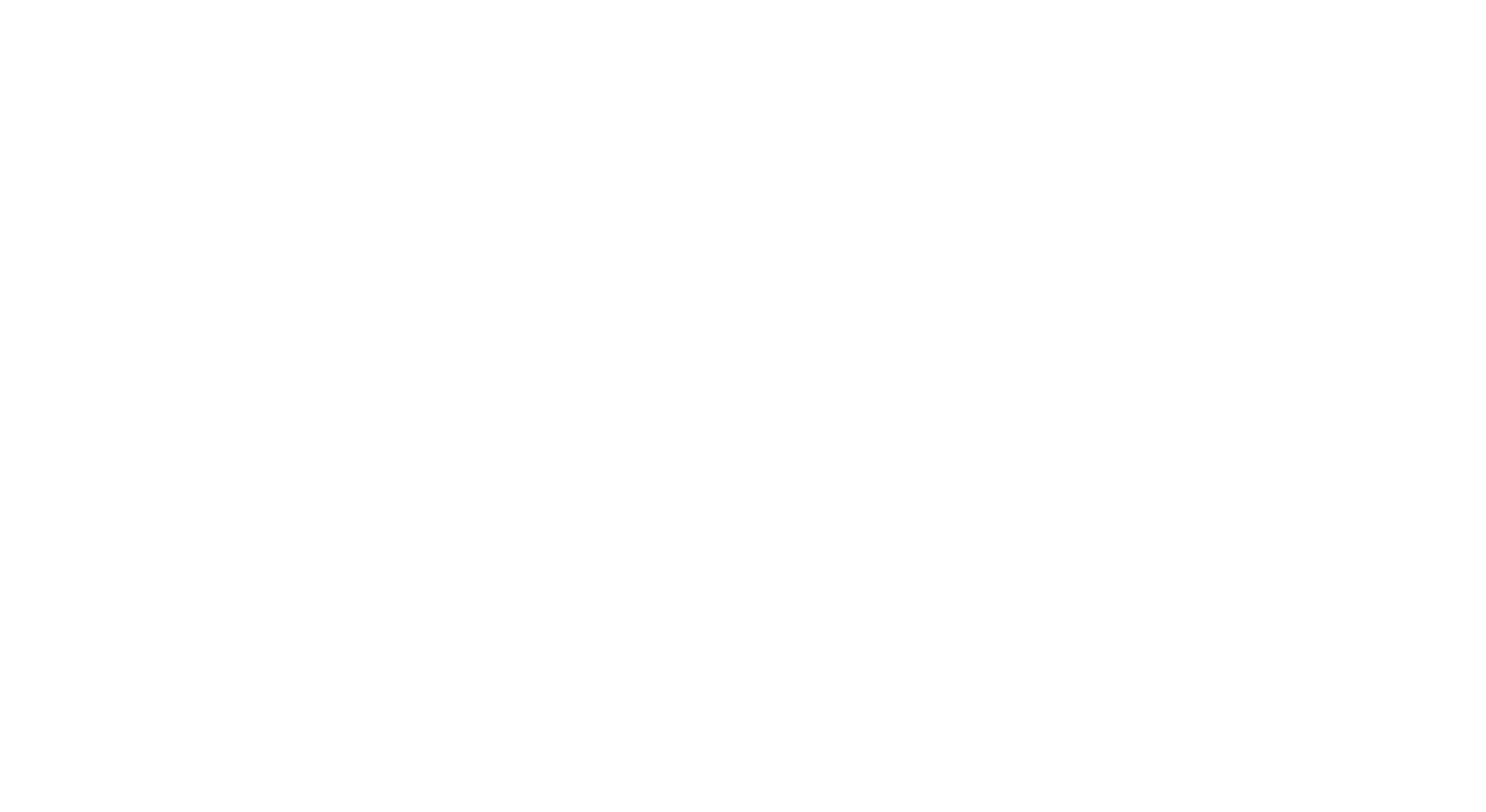 HET FRIETKOT