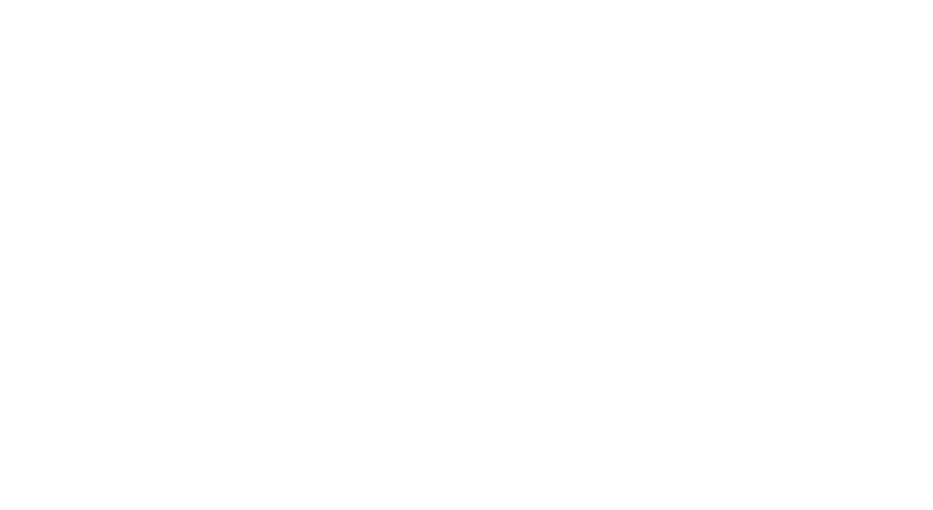 MEDIALIFE (STRUCTURELE PARTNER)