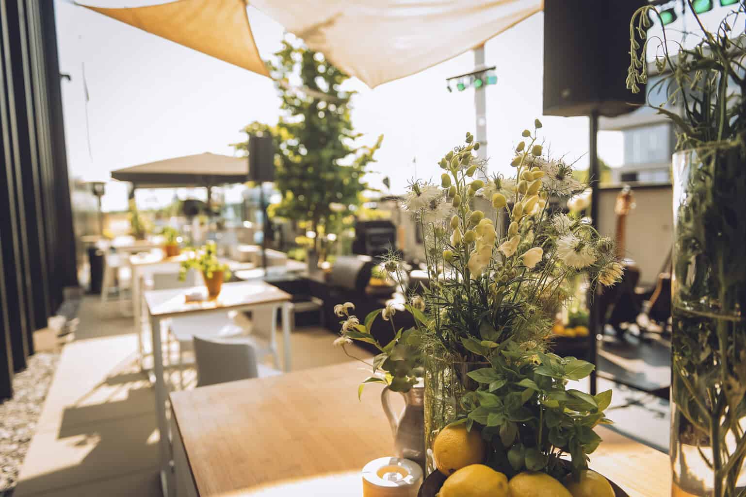 Outdoor Spaces